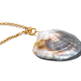 Shell pendant on a gold chain.