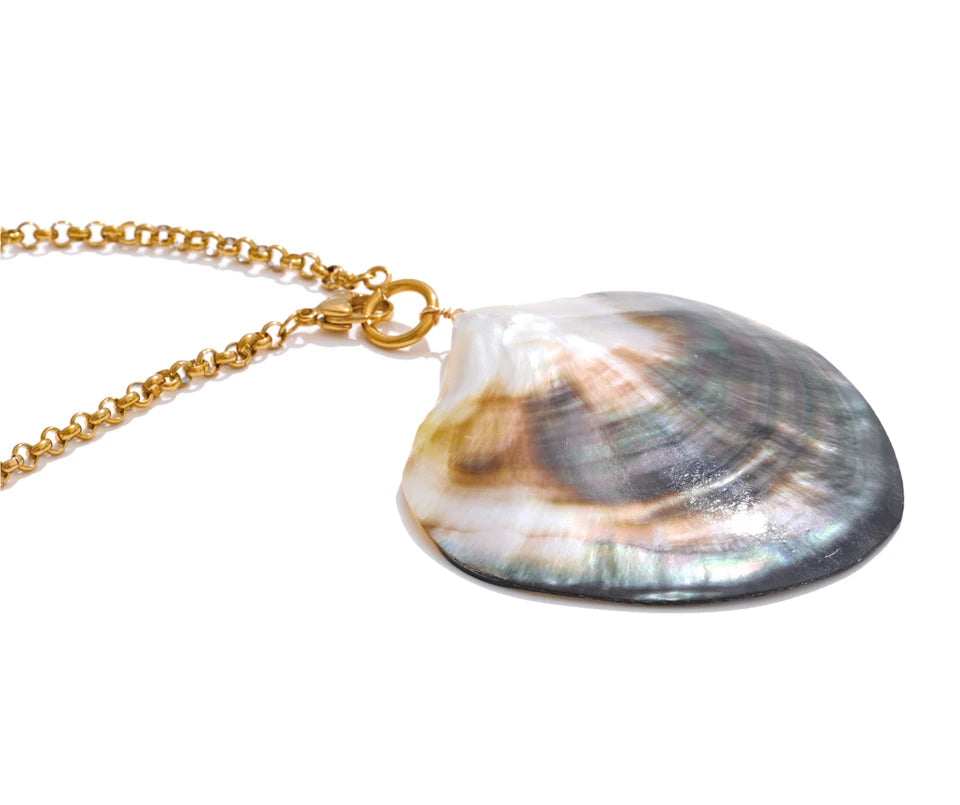 Shell pendant on a gold chain.