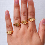 Engraved Wildflower Signet Ring – Waterproof 18K Gold Plated Ring | Ezra Gems