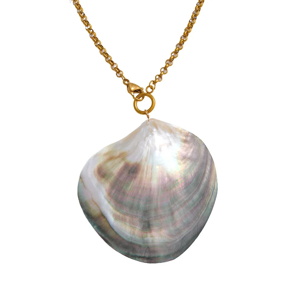 Shell pendant on a gold chain against a white background