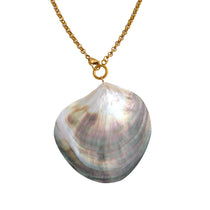 Shell pendant on a gold chain against a white background