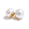 Simulated Pearl Round Stud Earrings – Waterproof 18K Gold Plated Earrings | Ezra Gems