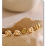 Ocean Shell & Dolphin Stud Earring Set of 3