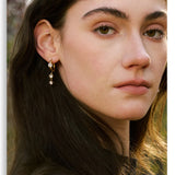 Shiny CZ Drop Earrings